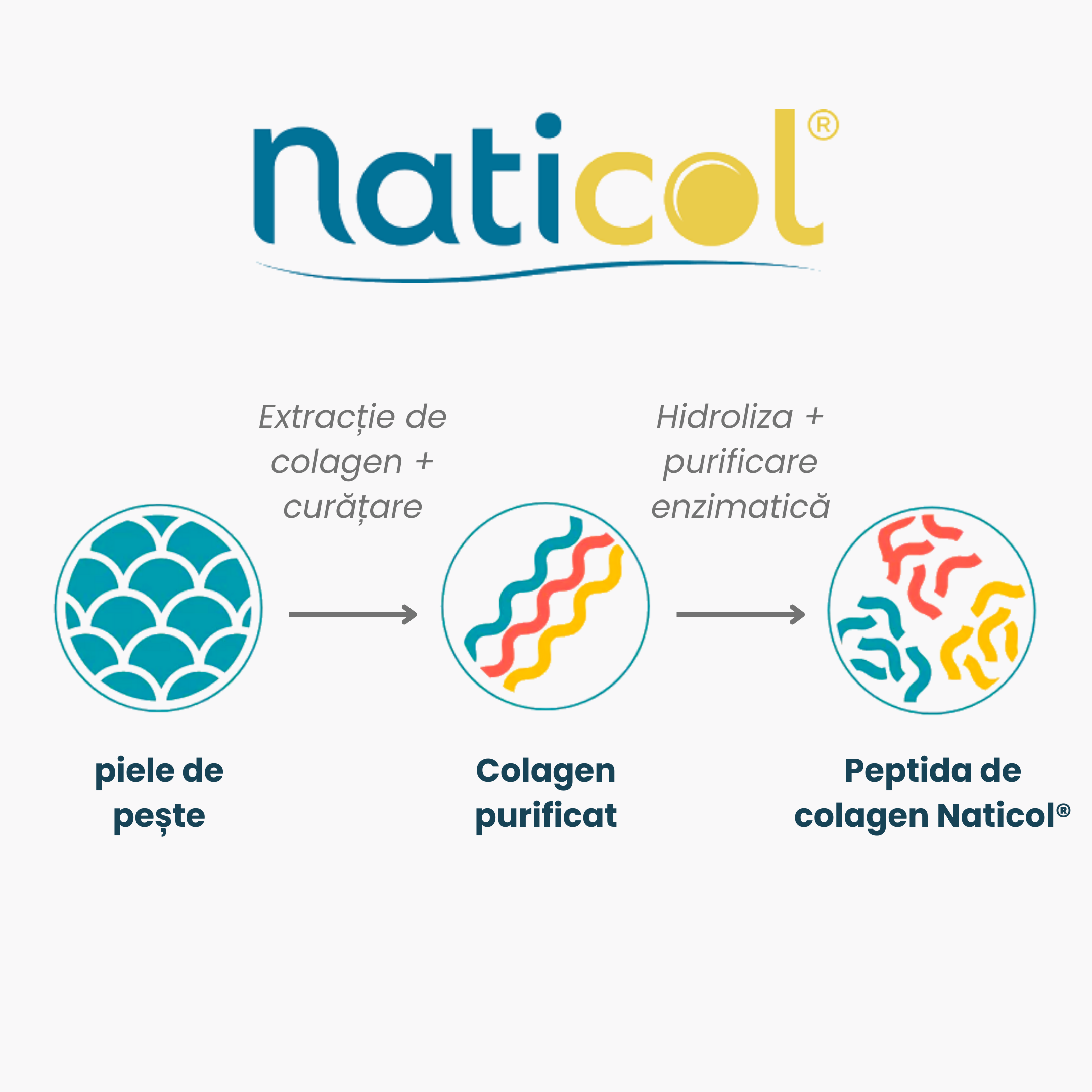 naticol kolagen2